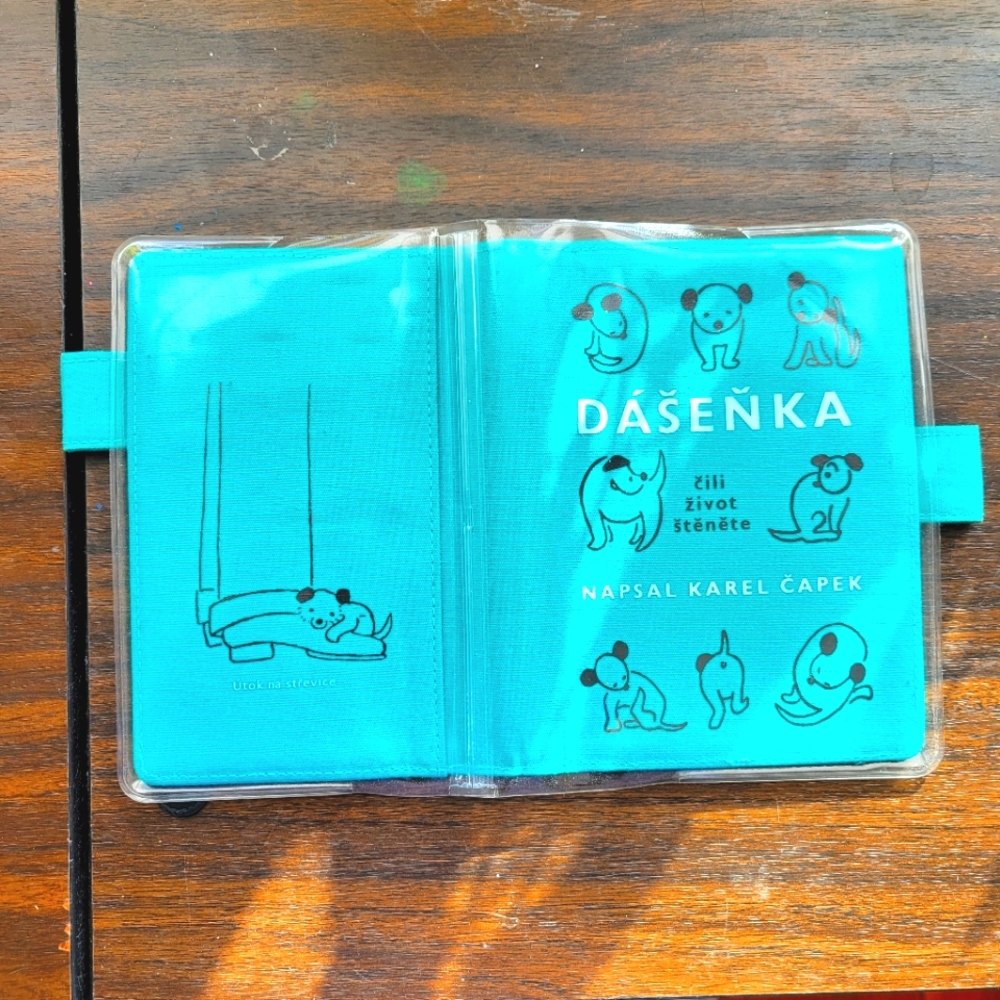 Hobonichi A6 2022 Cover Dashenka